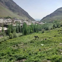 سویت در ونایی