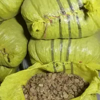 باقلا خشک تمیز و پزا، خو پخت|خوردنی و آشامیدنی|کوهی‌خیل, |دیوار