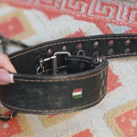 سگ شیتزو|سگ|تنکمان, |دیوار