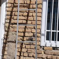 پله بلند و آباژور در حد نو|سایر لوازم برقی|اسلام‌‌آباد غرب, |دیوار