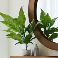 مشاوره چاپ و پذیرش مقاله دکتری شهرسازی معماری