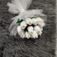 سارینا گل|تور و چارتر|اصفهان, آزادان|دیوار