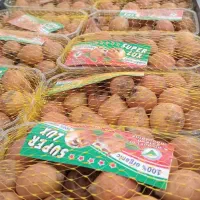 فروش ازگیل بسته بندی شده