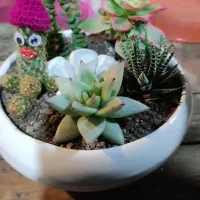 گلدان سرامیکی سفید