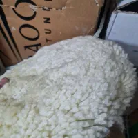 دستگاه جوش وسنگ فرزوپد پولیش|ابزارآلات|تهران, چیتگر شمالی|دیوار