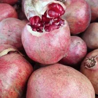 انار قرمز و آب دار عمده