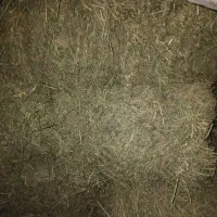 یونجه انباری