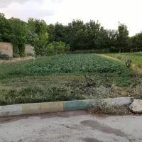 فروش زمین کشاورزی، باغی