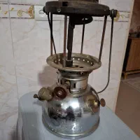 چراق زنبوری انگلیسی