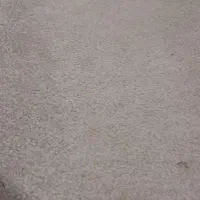 ۲ عدد پالاز موکت|موکت|بندر ماهشهر, |دیوار