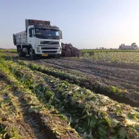 تک باری اف ام 9|خودرو سنگین|الیگودرز, |دیوار