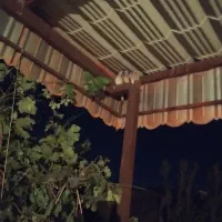 خانه باغ دوبلکس 120متربنا بادرخت واستخر کلا 380متر|فروش خانه و ویلا|زاوه, |دیوار