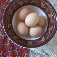 تخم‌مرغ‌نطفه‌داربرهماغول‌پیکردونه‌ایی۲۵۰تومن