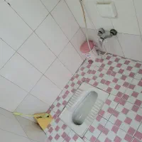 اجاره ویلای جنگلی|اجارهٔ کوتاهمدت ویلا و باغ|رشت, گیل|دیوار