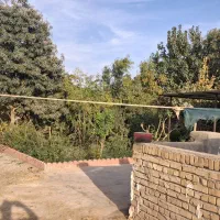 اجاره دامداری ۱۰۰۰ متری|اجارهٔ دفتر صنعتی، کشاورزی، تجاری|جوادآباد, |دیوار