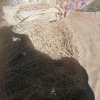 رشته پلوی یاقشتلی