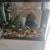 آکواریوم اندازه ۱۹در۲۸ارتفاع ۲۹