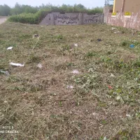 یک قطعه زمین ساحلی