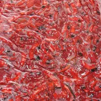 ترشک و لواشک