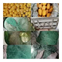 اسپکی خرچنگی تناب سروف و زیر آبی و غیره