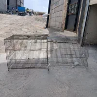 قفس