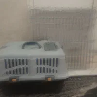 وسایل توله سگ