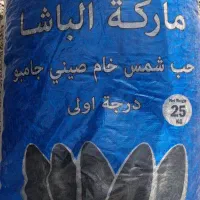 تخمه الباشا