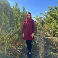 نهال گردو و بادام با انتخاب رقم متناسب اقلیم شما