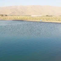 باغ شهری های سروناز ۲ کیلومتری فاروق مرودشت