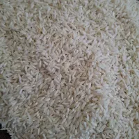 برنج علی کاظمی