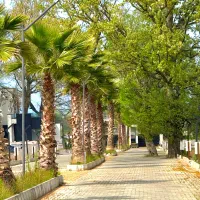 مجموعه نوپا سنگفرش شده/داخل بافت/اگهی قیمت کل