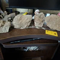 دکور آکواریوم