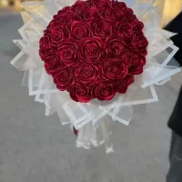 ربانی