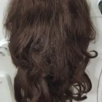 کلاه گیس
