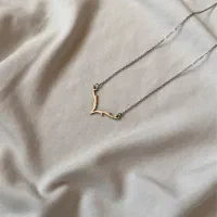 گردنبند شاخ گوزن رنگ ثابت