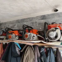 خرید درخت و هرس