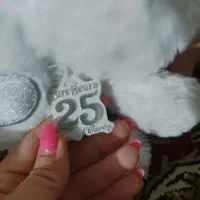 عروسک Care Bear ارجینال|اسباب‌بازی بچه|شیراز, مبعث|دیوار