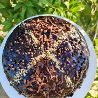 سفارش کیک خیس و جار کیک و کیک زبرا