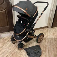 کالسکه حرفه ای مایلر