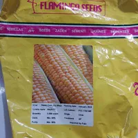 بذر ذرت شیرین مکزیکی|خدمات باغبانی و درختکاری|شیراز, قصرالدشت|دیوار
