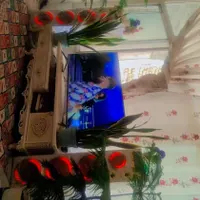 باند اسپیکر تلویزیون پنجاه اینچ سامخ