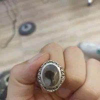 شجر تک درخت|بدلیجات|سقز, |دیوار