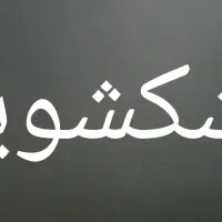 نیروی کار خشکشویی