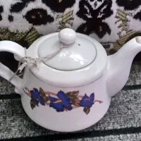 ظروف های سرو و پذیرایی