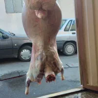 قصاب .سلاخ.قصابی.سلاخی