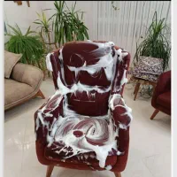 مبل شویی رنجکش