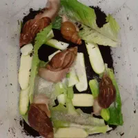 فروش حلزون از نوزاد تا مولد