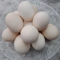 تخم مرغ محلی شیرمحلی