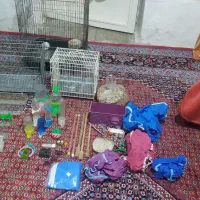 وسایل پرنده
