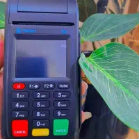 کارتخوان سیار به پرداخت ملت دم قسط